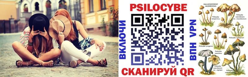 где можно купить   Менделеевск  Псилоцибиновые грибы GOLDEN TEACHER 